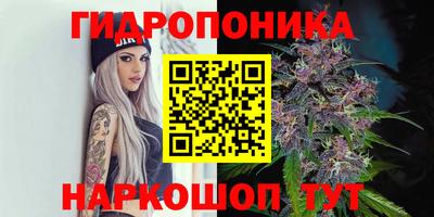 индика Кунгур