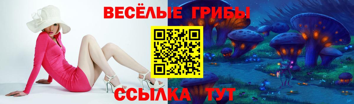 Псилоцибиновые грибы Psilocybine cubensis Волгодонск